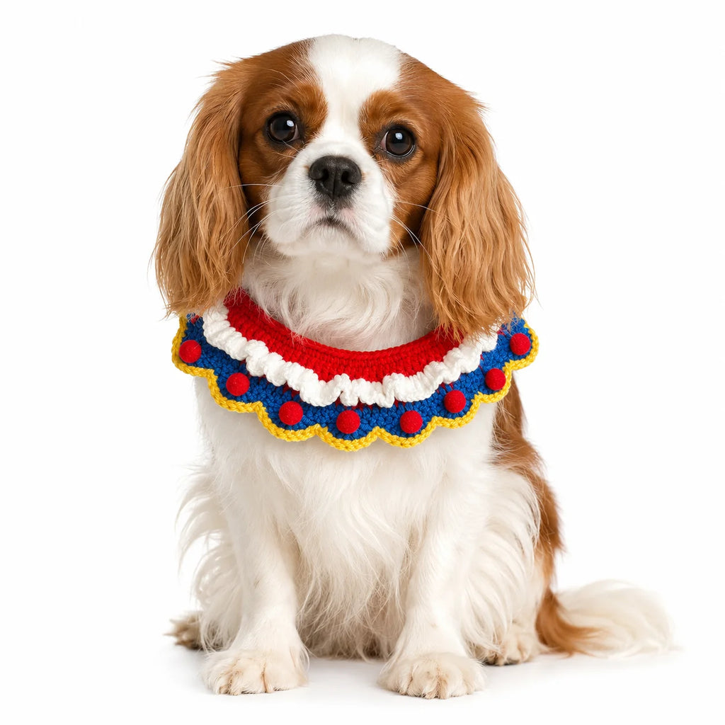 Fairy Tale Princess Bib (Pom-Poms) | Artisan Knit Pet Collar