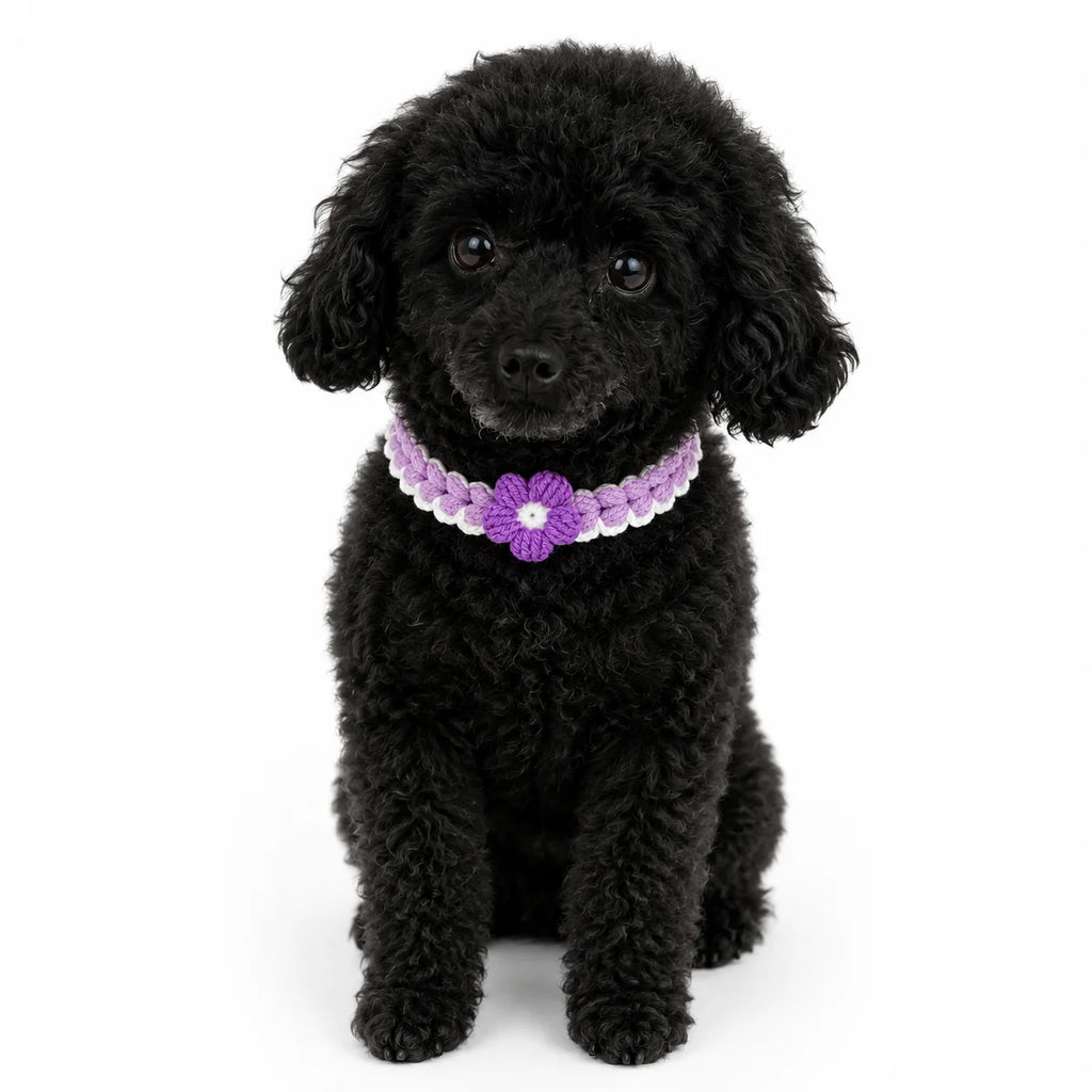 Purple Crochet Flower Pet Collar on dog