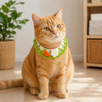 Orange cat wearing artisan carrot knit pet collar