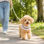 Purple Tulip Pet Bib | Artisan Knit Flower Collar