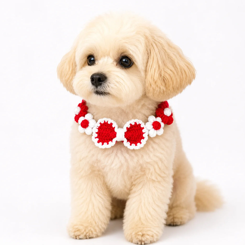 Dog wearing Red Hand-Crocheted Pet Collar