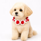Dog wearing Red Hand-Crocheted Pet Collar