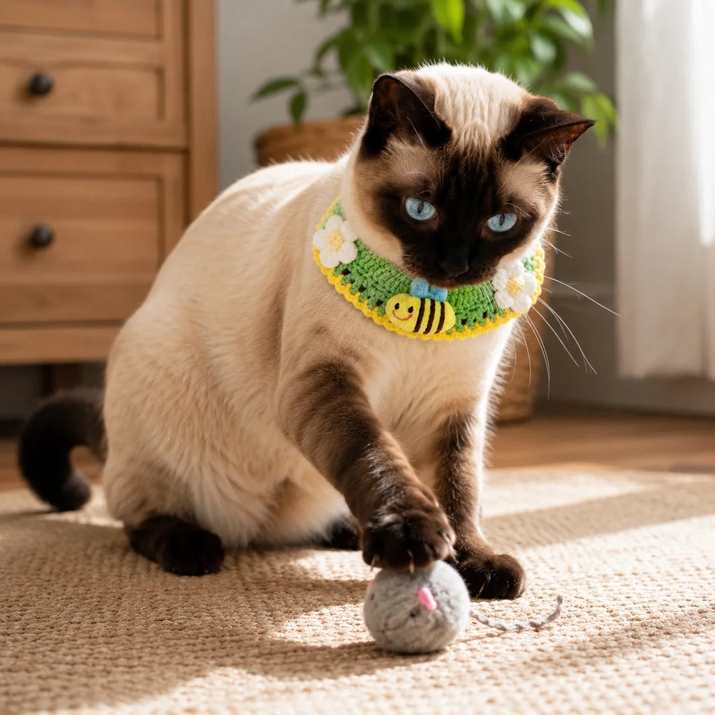 Siamese cat wearing green honeybee knit collar