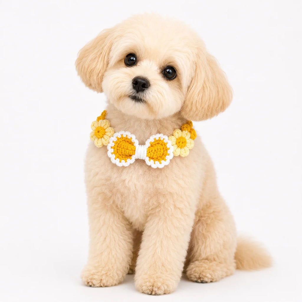 Dog wearing Yellow Hand-Crocheted Pet Collar