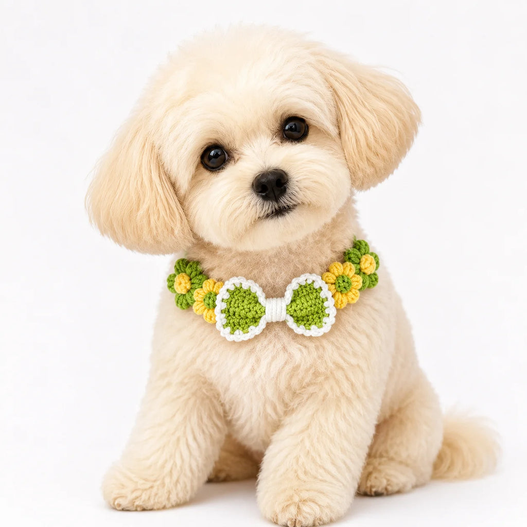 Dog wearing Green Hand-Crocheted Pet Collar