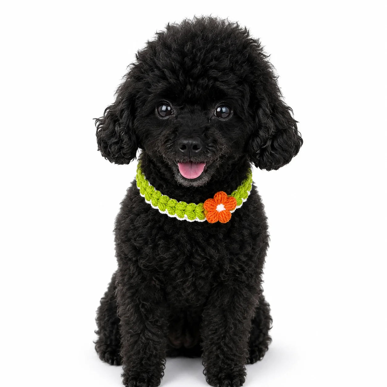 Green Crochet Flower Pet Collar on dog