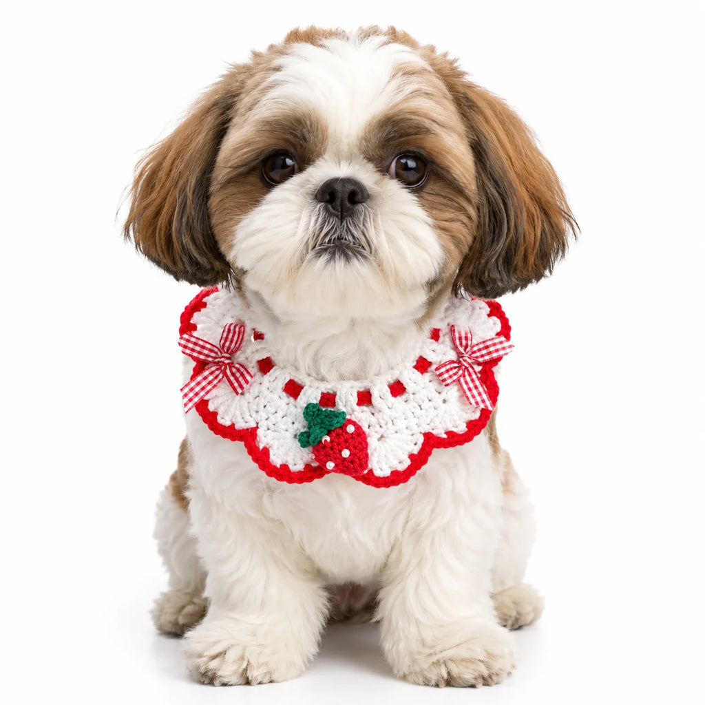 Small Shih Tzu wearing handmade red crochet strawberry pet bib collar