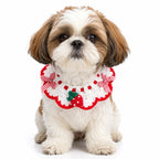 Small Shih Tzu wearing handmade red crochet strawberry pet bib collar
