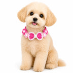 Dog wearing Pink Hand-Crocheted Pet Collar