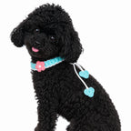 Blue Crochet Flower Pet Collar side view on dog