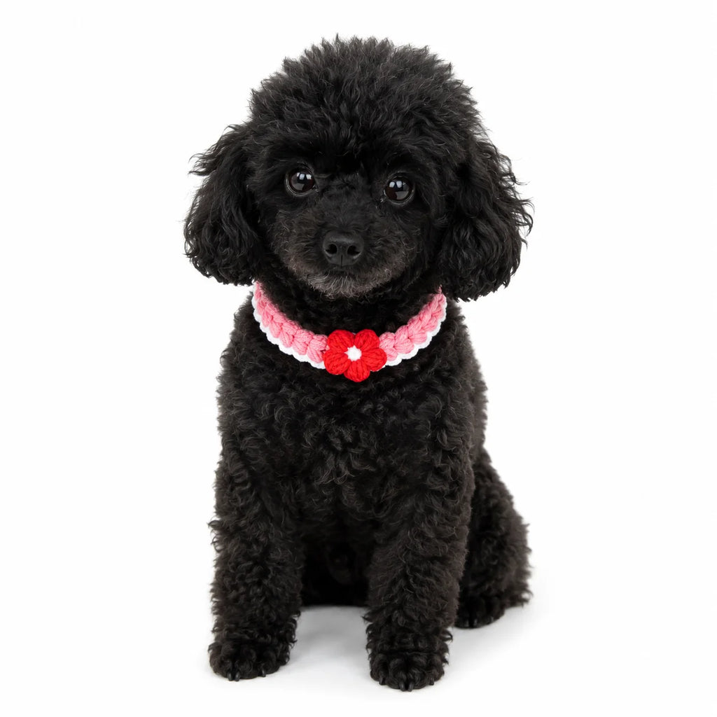 Pink Crochet Flower Pet Collar on dog